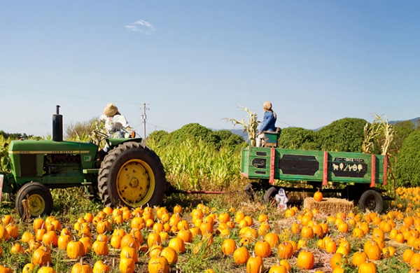 family bucket list parenting kids activities Autumn Fall