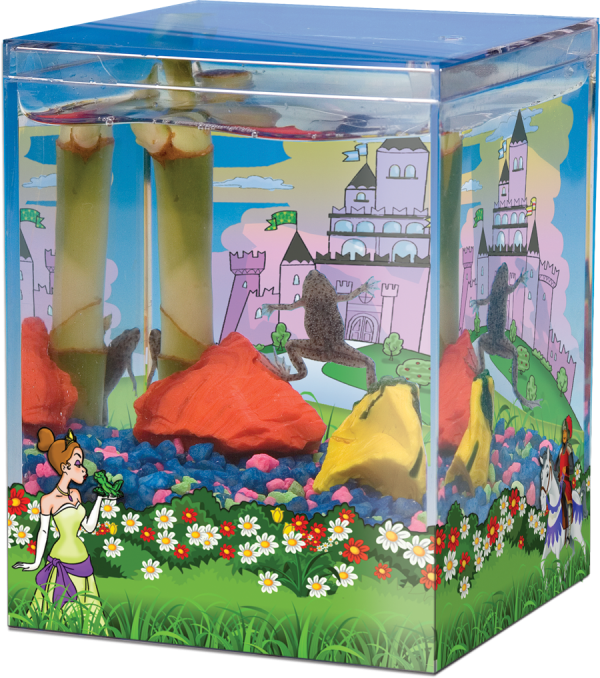 Princess & Frog Classic EcoAquarium