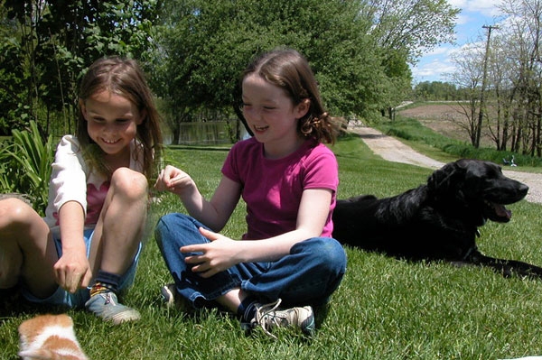 dog safety puppy play date