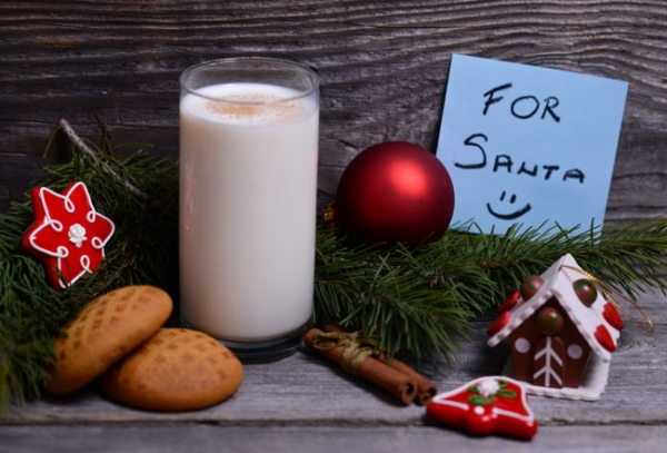 Cookies for Santa