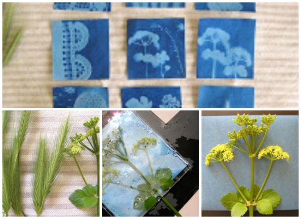 Kids Activities: Make Your Own SunPrint