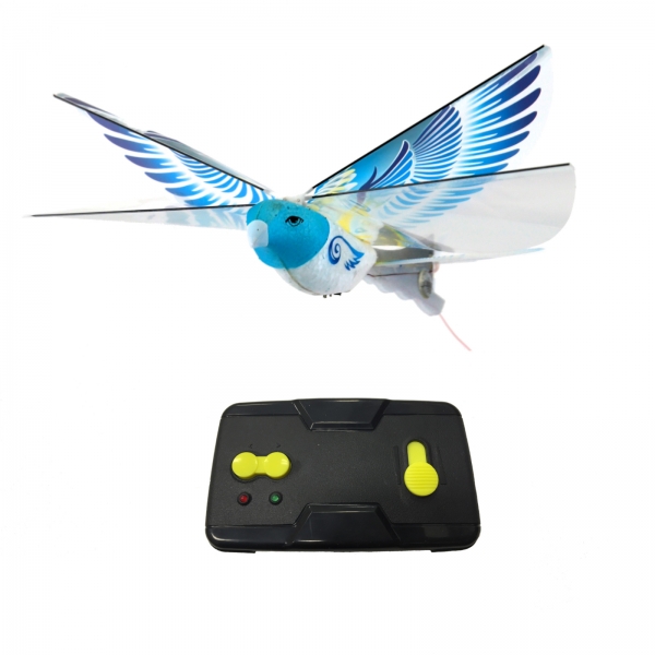 eBird Pigeon