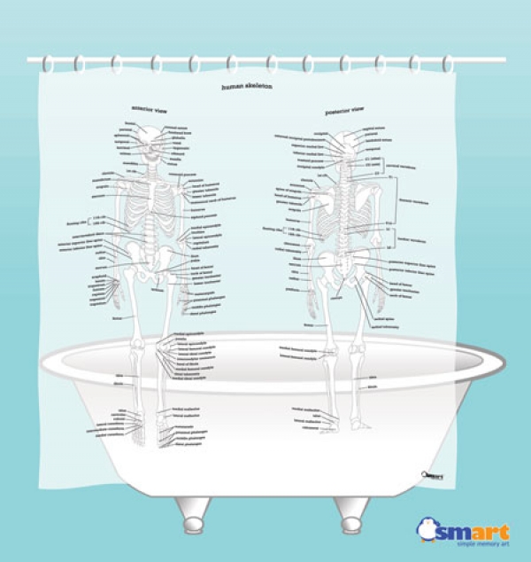 Human Skeleton Shower Curtain by SMART