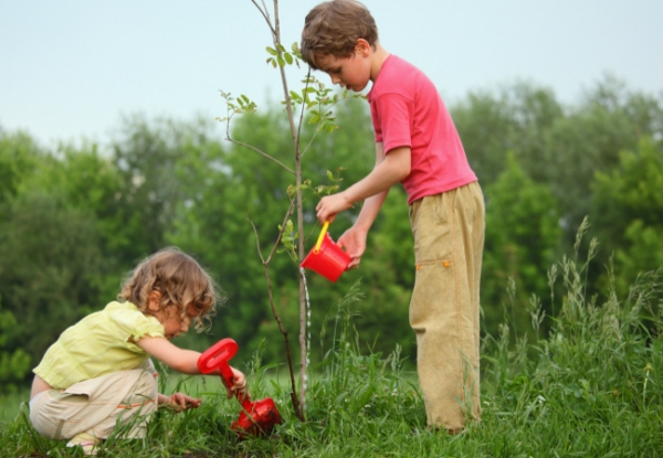 How to Raise Eco-Conscious Kids