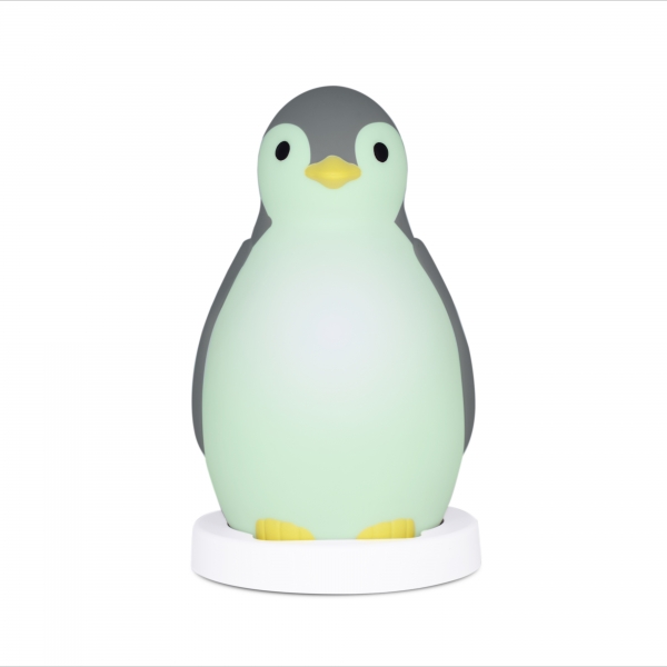 PAM Nightlight & Sleep Trainer