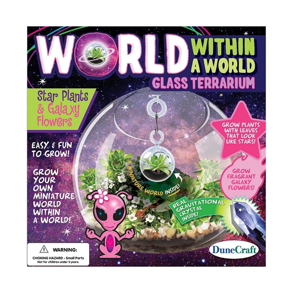 World Within A World Star Plants & Galaxy Flowers
