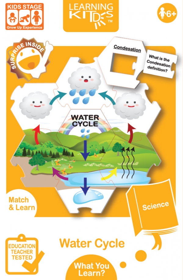 Water Cycle