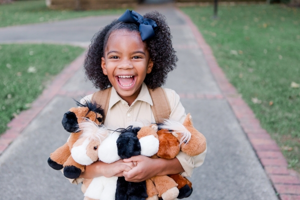 Piccoli Mini Horses
