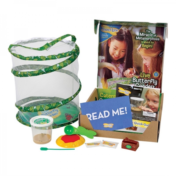 Insect Lore Butterfly Garden with Live Cup of Caterpillars