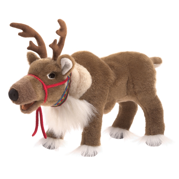 Reindeer