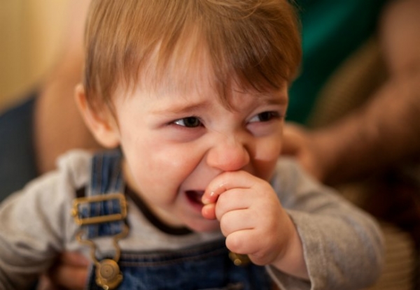 When Toddlers Bite, Hit, and Hurt Others | Creative Child