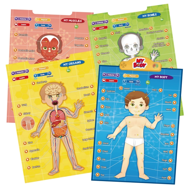 BEST LEARNING i-Poster My Body