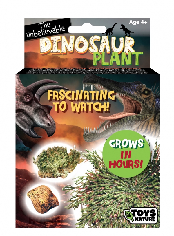 Dinosaur Plant (Boxed)