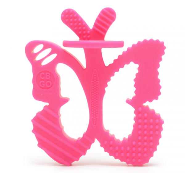 Chewpals Teether & Training Brush