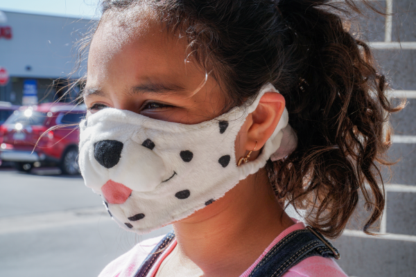 Fiesta Lil' Buddies Masks
