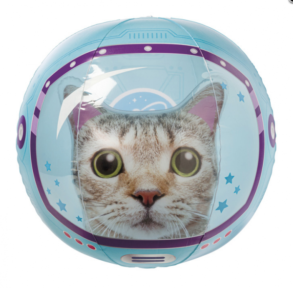Space Cat Beach Ball