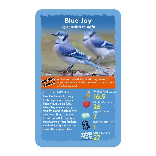 Birds Top Trumps 