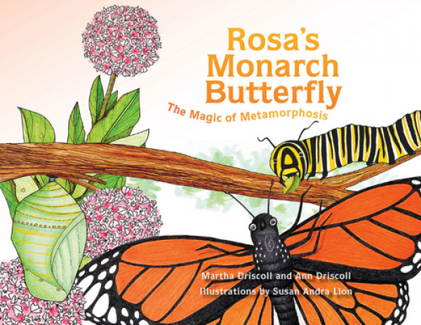 Rosa's Monarch Butterfly