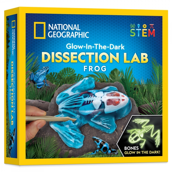 National Geographic Glow-in-the Dark Frog Dissection Lab