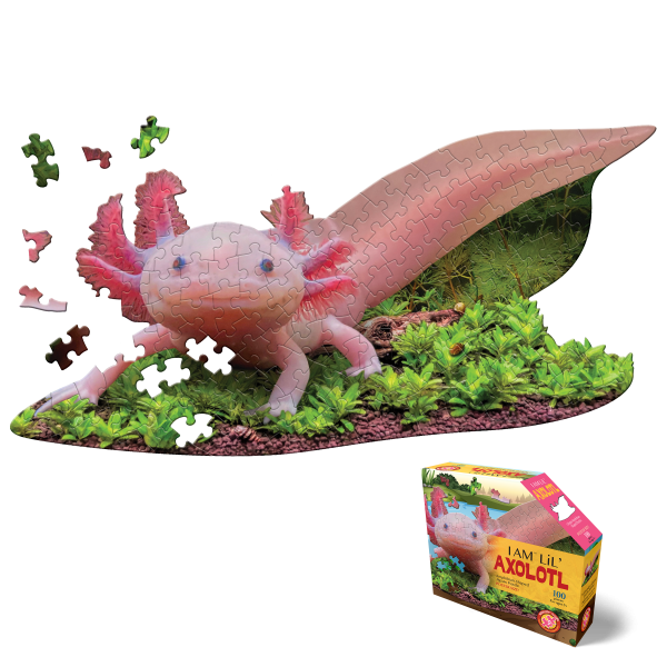 I AM LiL' AXOLOTL