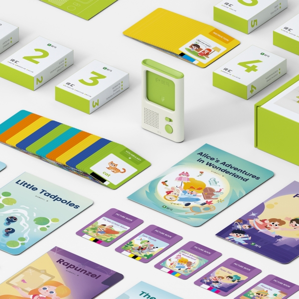 Flash Card Reader