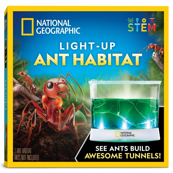 National Geographic Ant Habitat