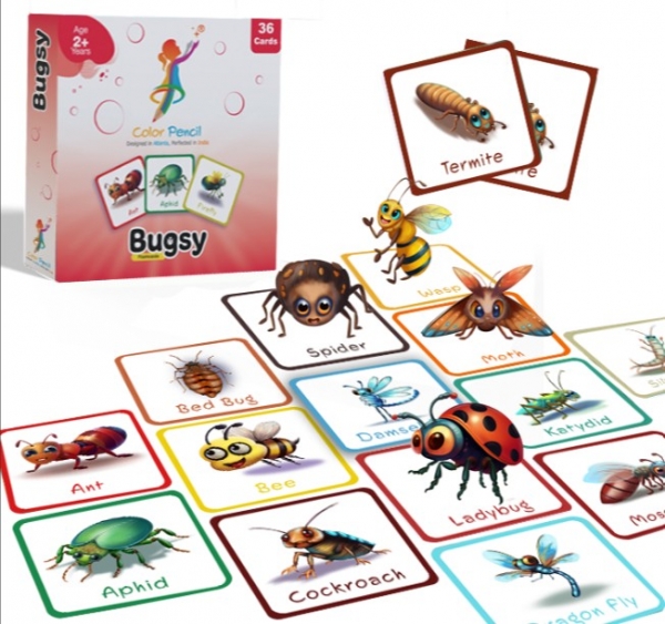 Bugsy Flashcards