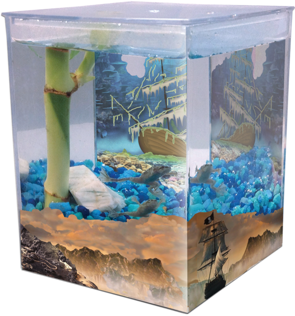 Pirate Treasure Classic EcoAquarium