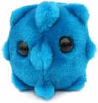 Common Cold (Rhinovirus) Plush Doll