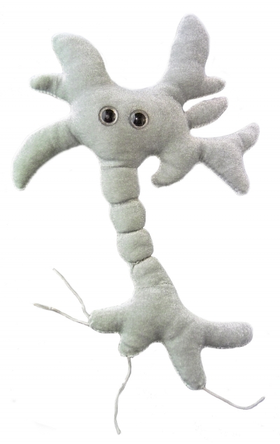 rhinovirus plush