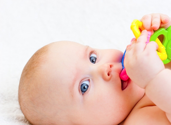 teething net thing