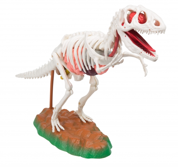 Scientific Explorer Anatomics Dinosaur