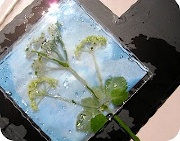 kids activities crafts flowers sun prints