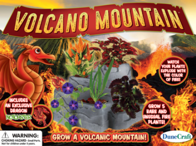 Volcano Mountain Garden