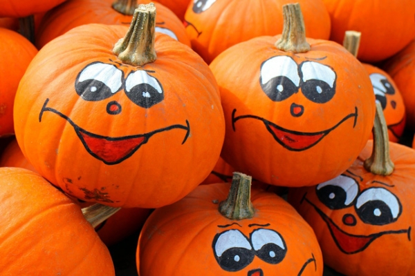Family Fall Bucket List